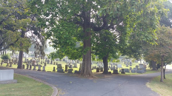 Thornrose Cemetery by null