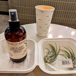 Mr West Coffee - Two Air Plants, air plant spray, and a grande latte.
