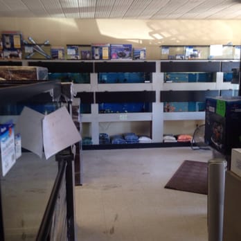 B B Tropical Fish & Pet - Local Fish Stores Near Me - Houston, Texas B B Tropical Fish & Pet - Local Fish Stores Near Me - Houston, Texas