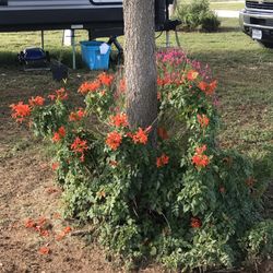 Cross S RV Park