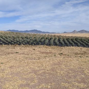 The Meading Room - Wineries Near Me - Sonoita, Arizona The Meading Room - Wineries Near Me - Sonoita, Arizona
