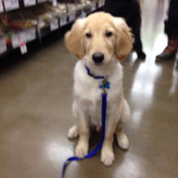 Pet Supplies Plus Stow - Pet Stores Near Me - Stow, Ohio