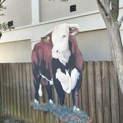 The MOOseum