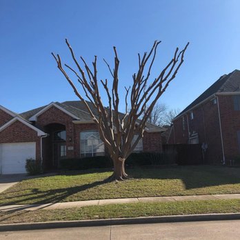 JChavez Flower Mound Tree Service - Tree Services Near Me JChavez Flower Mound Tree Service - Tree Services Near Me