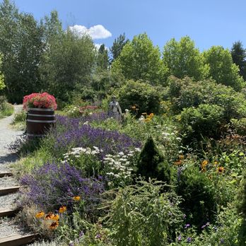 Ancient Hill Winery - Garden - Wineries Near Me - Kelowna, British Columbia