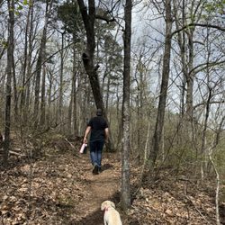 Snooper's Rock