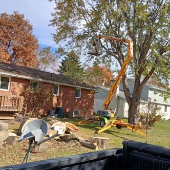 Hein Tree Solutions - Tree Services Near Me