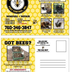 Killer Bee Pest Control