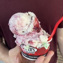 Bruster's Real Ice Cream