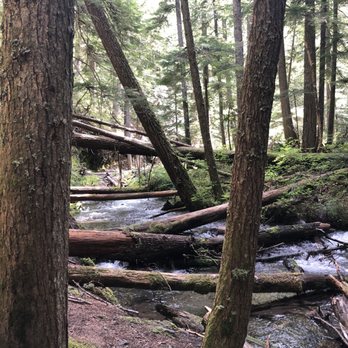 Little Zigzag Falls - Hiking Near Me