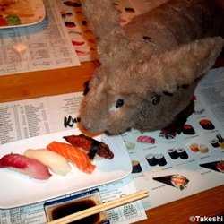 KANG FU JAPANESE & CHINESE RESTAURANT. Dr. Takeshi Yamada and Seara (Coney Island sea rabbit). assorted sushi.