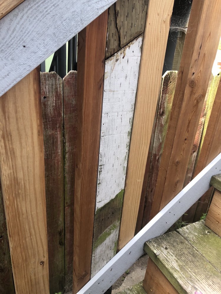 INFINITE CONSTRUCTION Castro Valley, California General Contractors