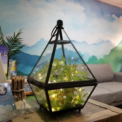 Inspired Flight Hypnosis - Reception