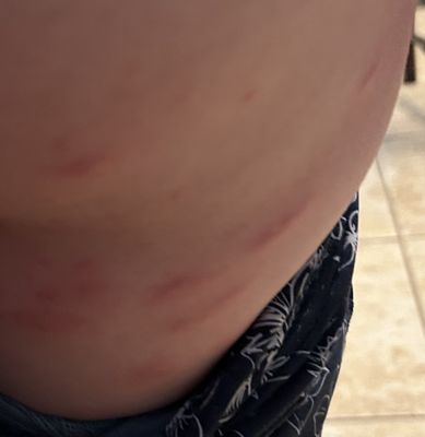 Summer Bay Orlando By Exploria Resorts by null