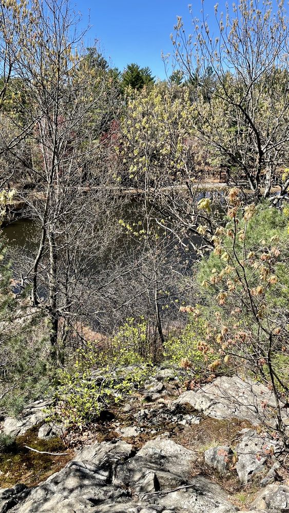 PINE BANKS PARK Updated September 2024 55 Photos 1087 Main St