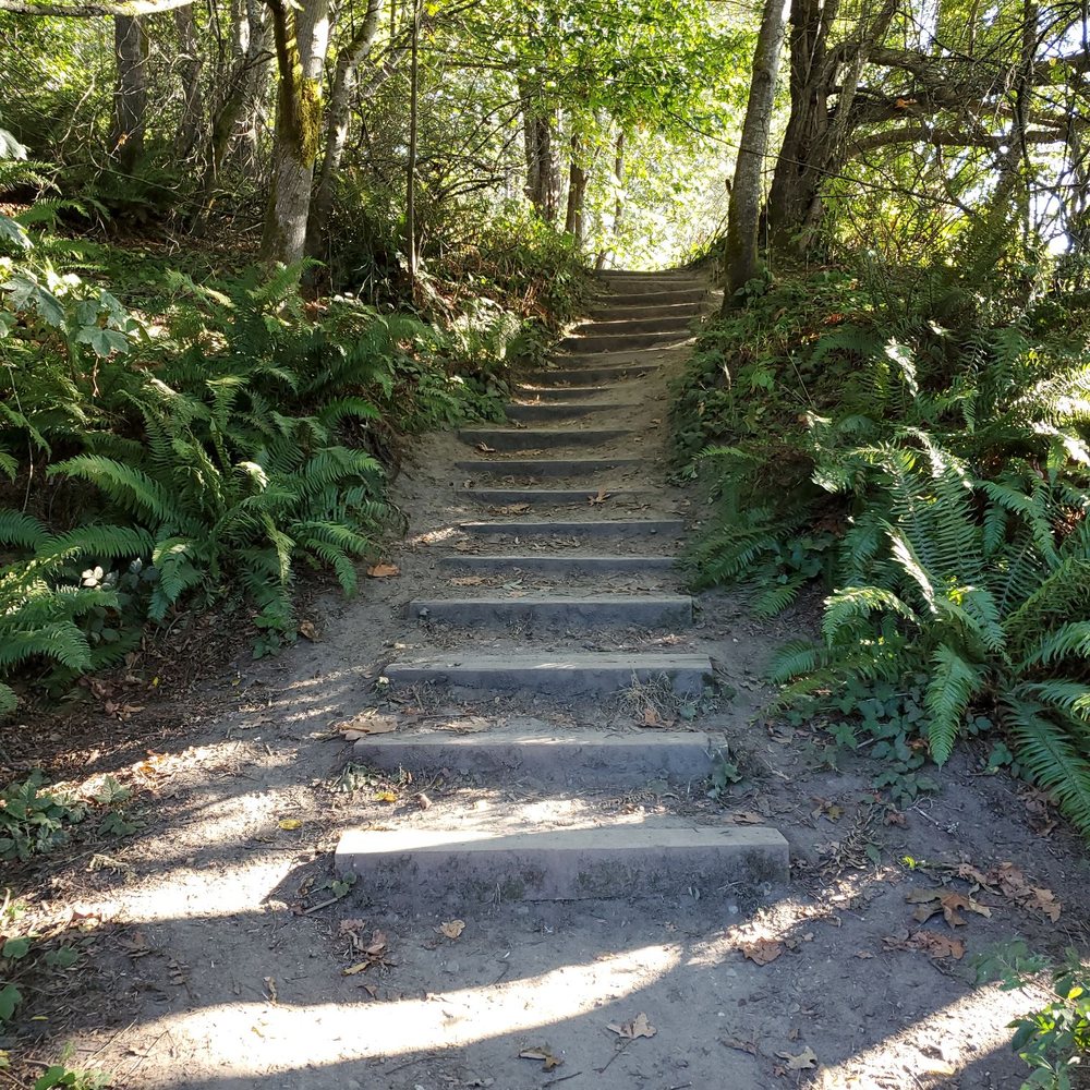 Carkeek Park - Steps to the next part of a trail - Parks Near Me - Seattle, Washington