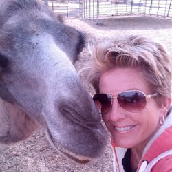 Maryanne Kraft - Camel Selfie