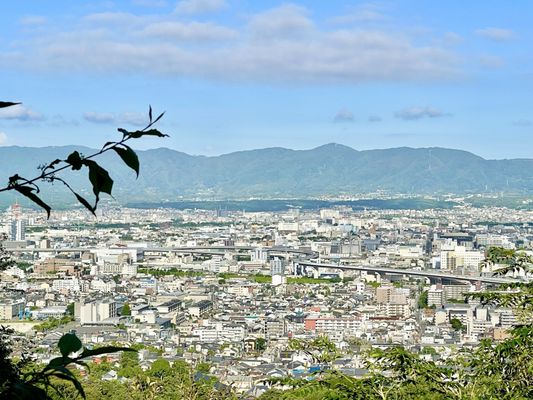 Senbon Torii (Thousand Torii Gates) by null