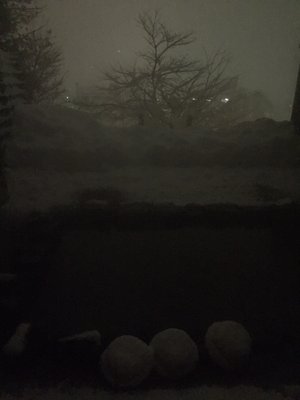 Nozawa Grand Hotel by null