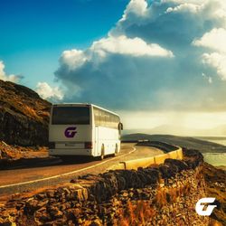 Grateful Trips and Travel - Just Give us a call or visit the website and send a email!!!