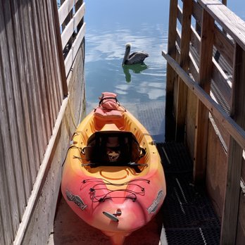 Key West Eco Tours - Boating Near Me - Key West, Florida Key West Eco Tours - Boating Near Me - Key West, Florida