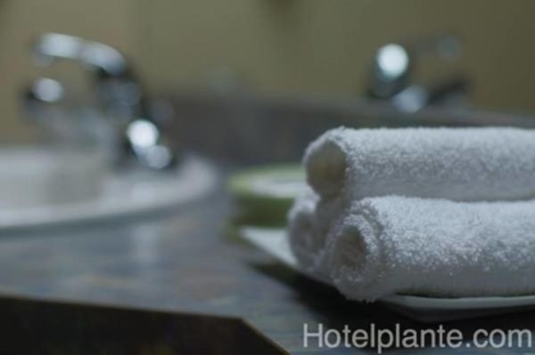 Hôtel Plante by null