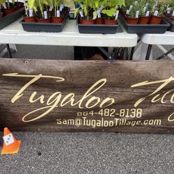 Garden plants and herbs