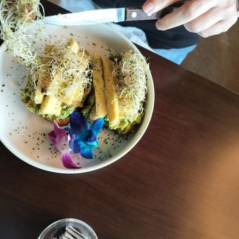 Tasty Experience Bistro - Sandwich with avocado and sprouts. Something else I forgot. Vegan sandwich - Breakfast & Brunch Near Me - Worcester, Massachusetts