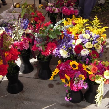 Corvallis Farmers' Market - more flowers :) - Farmers Market Near Me - Corvallis, Oregon Corvallis Farmers' Market - more flowers :) - Farmers Market Near Me - Corvallis, Oregon