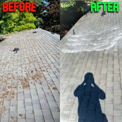 ProShine roof and gutter cleaning - Before and After picture of a roof with a lot of moss and moss treatment applied