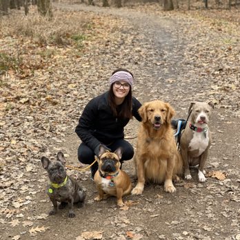 Brooks Canine Center - Working on obedience and pack structure - Pet Training Near Me - Des Plaines, Illinois
