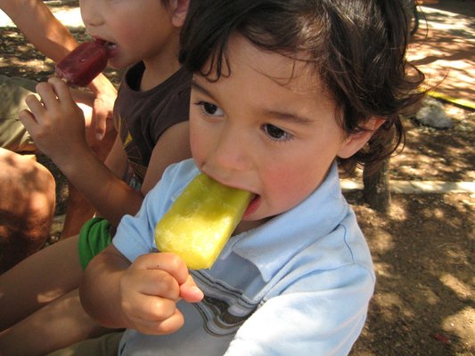 Mom & Pops All Natural Frozen Pops by null