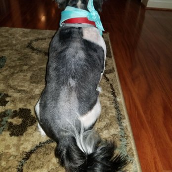 PetSmart - Pet Stores Near Me - Stafford, Virginia