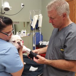 Pittsburgh East Animal Hospital