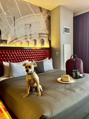 Bobby Hotel Rooftop Lounge by null