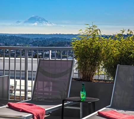 Zig Apartments by null