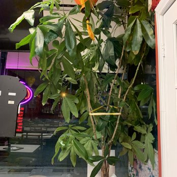 Huong Viet - Vietnamese Near Me - Toronto, Ontario