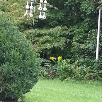Alpine Motel - Adorable Bird feeder condo - Hotels Near Me - Abingdon, Virginia