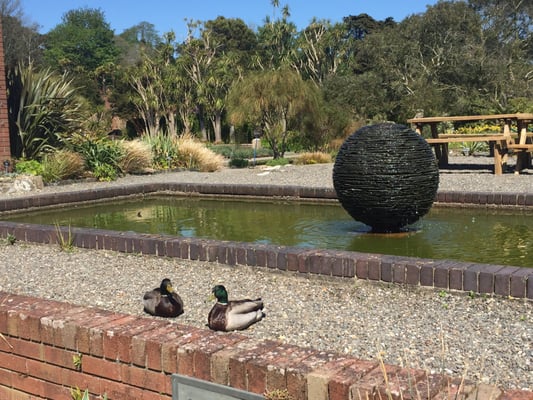 Logan Botanic Garden by null