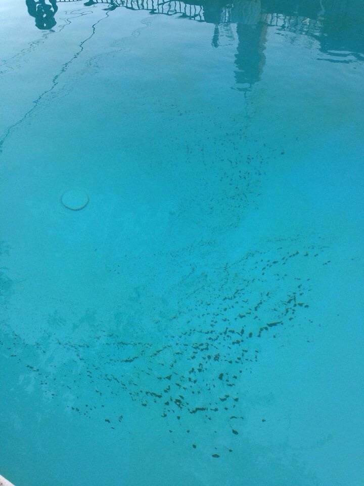 SOS POOL SERVICE Updated August 2024 8225 De Sota Ave, Canoga Park