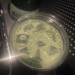 Matcha Matcha