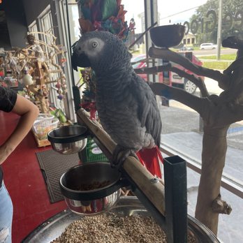 Just4Birds - Pet Stores Near Me - Valrico, Florida