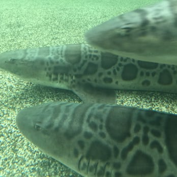 Ocean World - Aquariums Near Me - Crescent City, California
