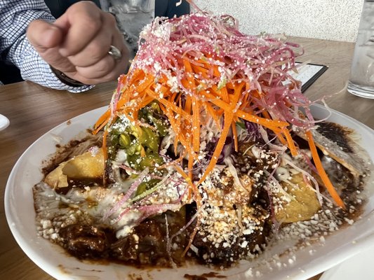The Funky Taco by null