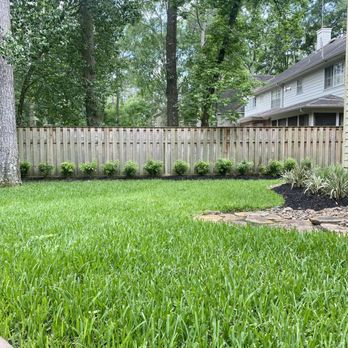 A.D.I Landscaping & Tree Service - New grass and landscaping this area was bare previously - Landscaping Near Me - Houston, Texas