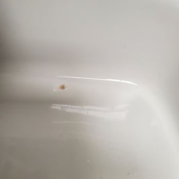Dirt Cheap Cleaning Inc - Home Cleaning Near Me - Huntington, New York Dirt Cheap Cleaning Inc - Home Cleaning Near Me - Huntington, New York