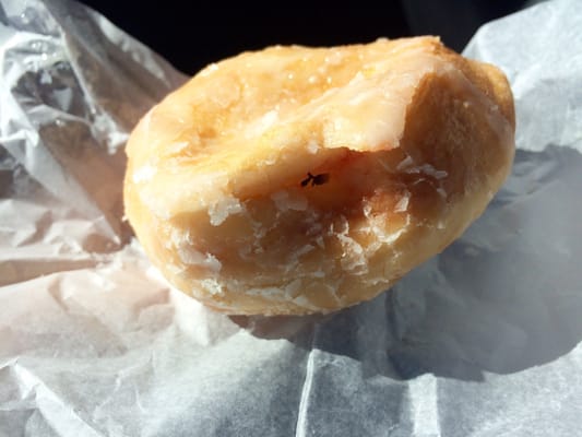 Shipley Do-Nuts by null