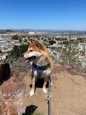 Bayview Park by null