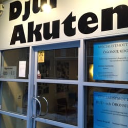 DjurAkuten