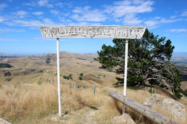 Te Mata Peak by null